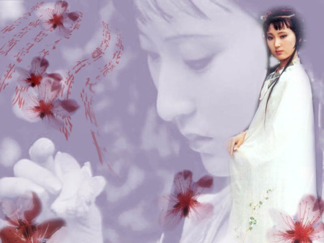 The Dream of the Red Chamber's Lin Daiyu